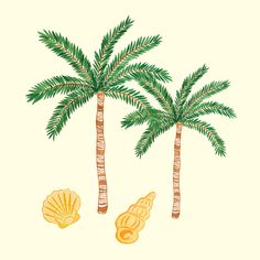 three palm trees and two seashells on a yellow background