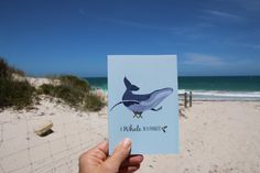 a hand holding up a card with a whale on it's side at the beach