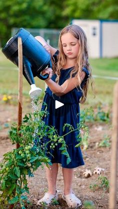 65K views · 23K reactions | Need some fun activities to do with your kids this summer? ☀️ I love how easy all three of these are to setup! Share these fun ideas with a mama! 😊

Pool Noodle Shaving Cream Activity 
Supplies 
•Pool Noodles 
•Shaving Cream 
•Paint Brush
•Plastic Bin 

Bouncing Bubbles Activity 
Supplies 
•4 tbsp of water
•2 tbsp of sugar 
•1 tbsp of dish soap
•bubble wand 
•Socks or gloves 

Directions 
1)Mix together your sugar and water until the sugar is dissolved. 
2)Next, mix in your dish soap and pour mixture into an old bubble container. 

——
#momlife #kidactivities #toddleractivities #outdooractivitiesforkids #toddlermom | Kamry Vincent | Kentucky Creator | kamryvincent · Original audio Bouncing Bubbles, Shaving Cream Painting, Art Club Projects, Bubble Activities, Bubble Wand, Pool Noodle, Cream Paint, Fun Activities To Do