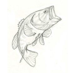 a drawing of a fish with its mouth open