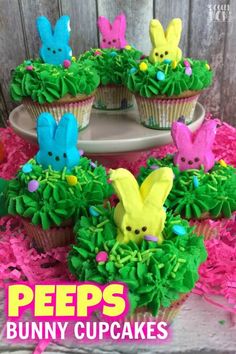 cupcakes decorated with peeps and grass