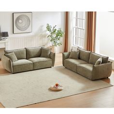 a living room with two couches and a rug