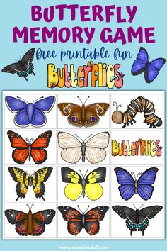 the butterfly matching game for kids