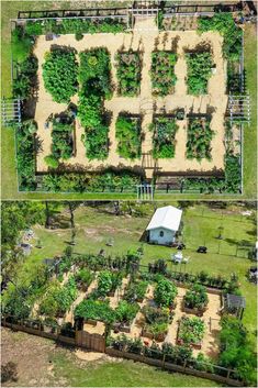 an aerial view of a farm with lots of plants in the middle and on top