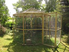 a bird cage in the middle of some grass