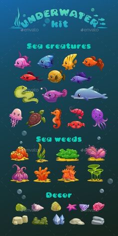 underwater sea creatures set with different types and colors