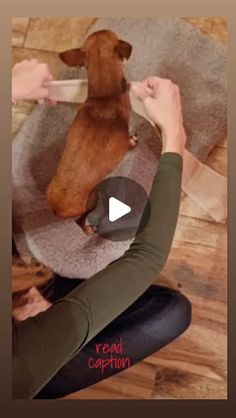 a woman is feeding a dog with a bottle