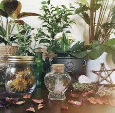 Wiccan Aesthetic, Cottage Witch Aesthetic, Green Witch Aesthetic, Types Of Witchcraft, Witchcore Aesthetic, Witchy Cottagecore, Cottagecore Witch, Witch Room, Types Of Aesthetics