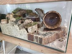 a glass case filled with lots of different types of wood and rocks in the shape of logs