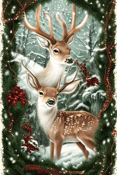 two deer standing next to each other in front of a christmas wreath with holly and berries