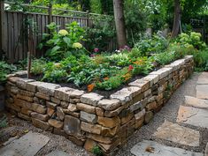 a garden filled with lots of different types of flowers