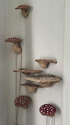 several mushrooms are hanging on the wall