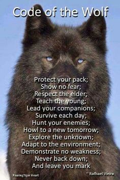 a black dog with blue eyes and the words code of the wolf