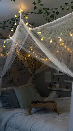 a canopy bed with white netting and lights hanging from it's sides in a bedroom