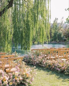 an outdoor ceremony setup with wooden benches and flowers in the foreground, under a willow tree