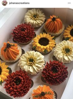 cupcakes decorated with sunflowers and pumpkins are in a white box