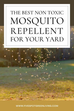 the best mosquito repellent for your yard