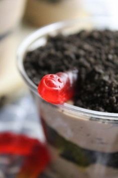 a plastic cup filled with dirt and a red gummy bear on the top of it