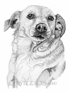 a black and white drawing of a dog