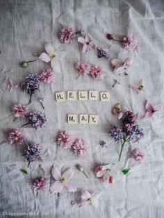 flowers and scrabbles spell out the word hello may on a white sheet