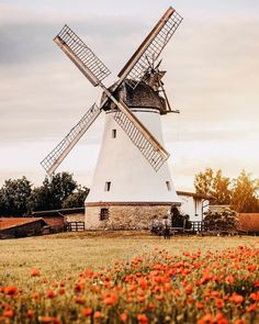 an old windmill sits in the middle of a field with red poppies around it