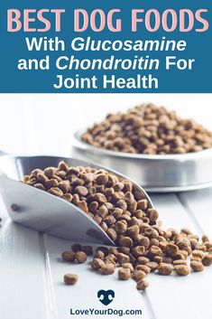 Looking for the best dog food with a boost of Glucosamine and Chondroitin for your pup? We examine our favorites by comparing glucosamine content, cost, and more. #loveyourdog #dogfoodwithglucosamine #dogfoodwithchondroitin #bestdogfoodforjointpain #dogfoodforjoints #seniordogfood Glucosamine Chondroitin, Dog Joints, Healthy Dogs