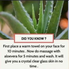 Natural Skin Care Remedies, Natural Face Skin Care, Good Skin Tips, Beauty Tips For Glowing Skin, Perfect Skin Care Routine, Healthy Skin Tips, Skin Remedies, Skin Care Remedies, Skin Care Recipes