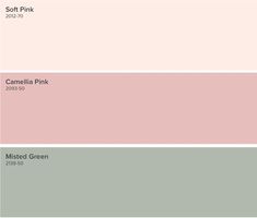 some pink and green paint colors are in the same color scheme, but one is white