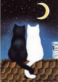 an image of two cats sitting on a roof looking at the stars in the sky