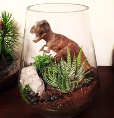 a dinosaur in a glass bowl with plants and rocks