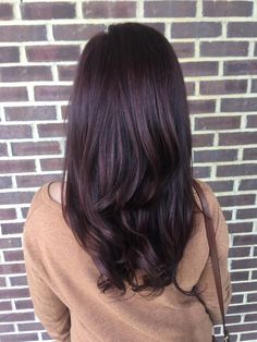 Dark Brown Hair With Violet Undertone, Dark Brown Violet Hair, Mahagoni Hair Color, Blackberry Hair Color Dark, Dark Mahogany Brown Hair, Plum Black Hair, Middle Part Bob Wig, Violet Brown Hair