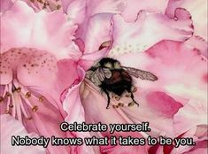 a bee sitting on top of pink flowers with the caption celebrate yourself nobody knows what it takes to be you