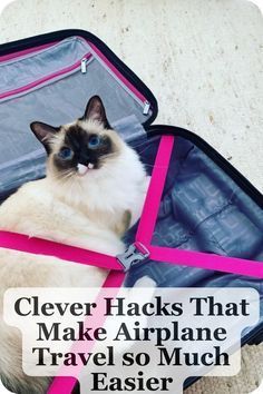 a cat sitting in an open suitcase with the words clever hacks that make airplane travel so much easier