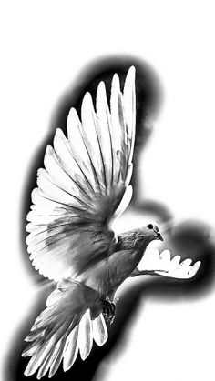 a black and white photo of a bird flying in the air with its wings spread