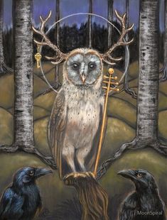 an owl and two crows are standing in the woods