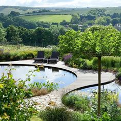 an outdoor swimming pool surrounded by greenery and trees