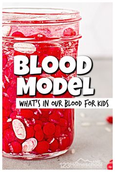 a jar filled with red candies and the words blood model what's in our blood for kids