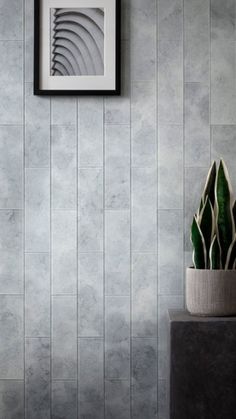 a potted plant sitting on top of a cement block next to a framed photo