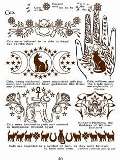 the instructions for how to decorate hand and cat designs