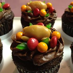 chocolate cupcakes decorated with fruit and candy