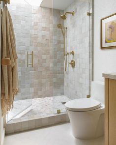 a white toilet sitting next to a walk in shower under a skylight on top of a tiled floor