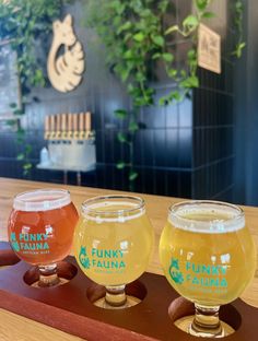 three glasses of beer sitting on top of a wooden table in front of a plant