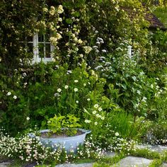 a garden filled with lots of plants and flowers