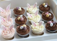 cupcakes decorated with chocolate frosting and bunny ears are displayed in a box