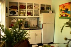 a white refrigerator freezer sitting inside of a kitchen next to a potted plant