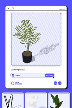 a computer screen showing an image of a potted plant