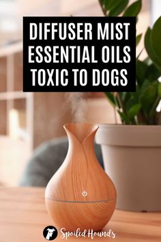 Do you use an essential oil diffuser and have a dog? Some essential oils can be harmful or fatal for dogs to breathe. Keep your dog safe and get the list of diffuser essential oils toxic to dogs. Learn which essential oils are safe for diffusing around your pet. #diffuser #dogsafety How To Use A Diffuser Essential Oils, Essential Oils Not Safe For Dogs, Essential Oils Dangerous For Dogs, Essential Oils Dogs Not Safe, Pet Odor Diffuser Blend, Dog Safe Essential Oils To Diffuse, What Essential Oils Are Safe For Dogs, Essential Oils Safe For Dogs Diffuse, Dog Friendly Essential Oils