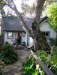 a house with a tree in front of it