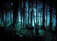 the sun shines through the trees and leaves in the forest at night with blue lighting