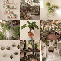 many plants are hanging from the ceiling and on shelves in different rooms, including one with a potted plant